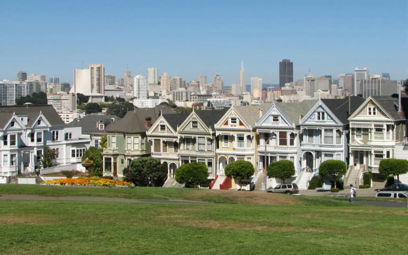 Off-leash dog play area at Alamo Square