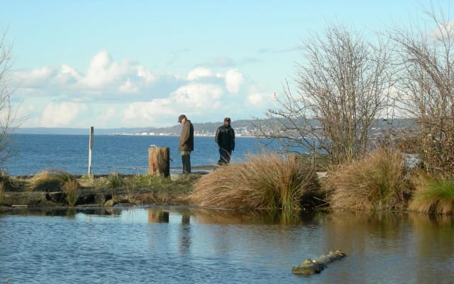 Seasonal fire pits at Golden Gardens Park