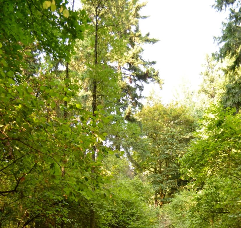 Seward Park Audubon Center at Seward Park