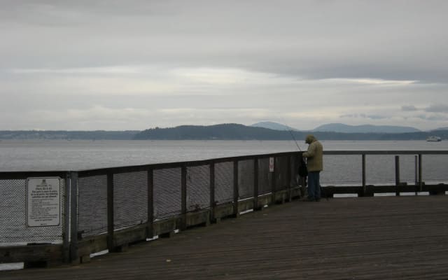 Habitat Beach and promenade at Waterfront Park