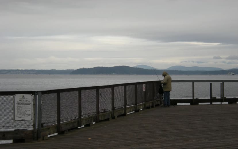 Pier 66 and Bell Harbor promenade at Waterfront Park