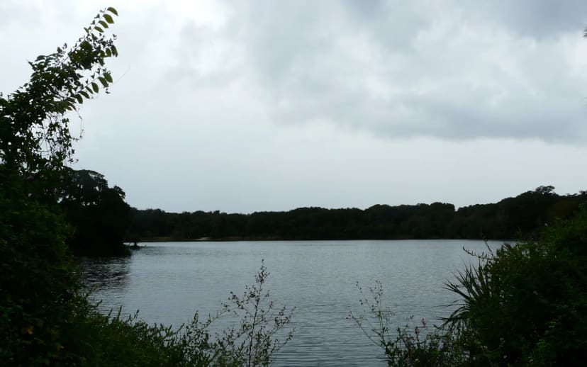 Hanna Park Campground at Kathryn Abbey Hanna Park