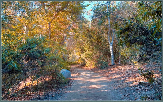 El Dorado Nature Center Trails at El Dorado East Regional Park