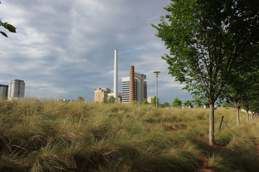 West Green at Railroad Park