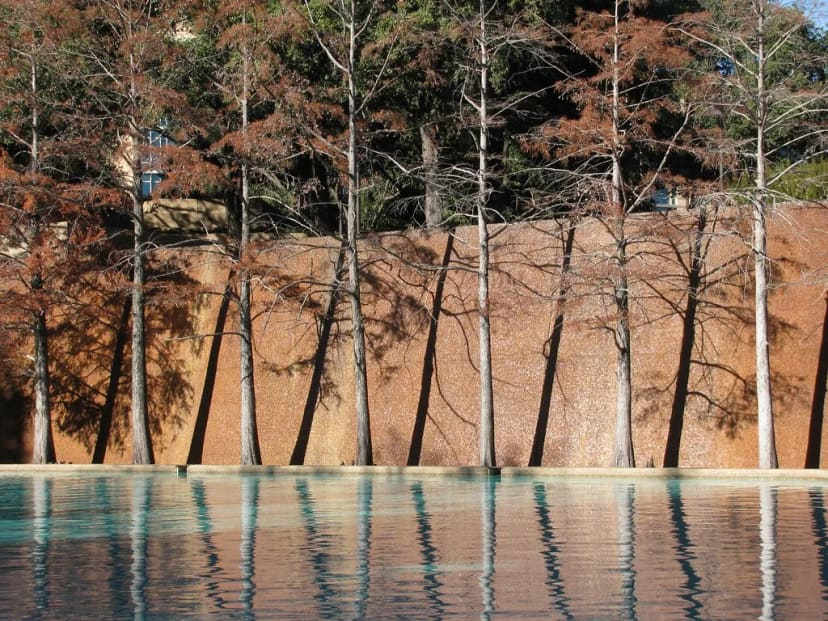 Quiet Pool at Fort Worth Water Gardens
