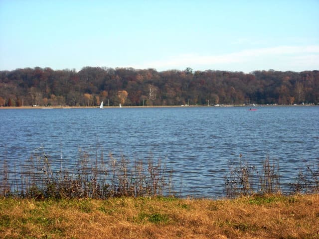 Lakeview Loop Trail at Creve Coeur Lake Memorial Park