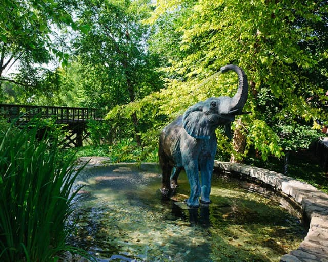 Saint Louis Zoo at Forest Park