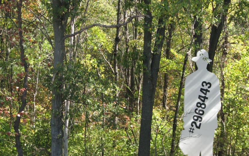 Art Hike Trail at Laumeier Sculpture Park
