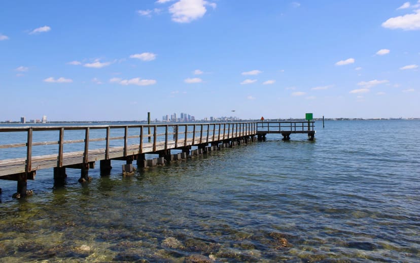 Bay and Tampa skyline from Ballast Point Park