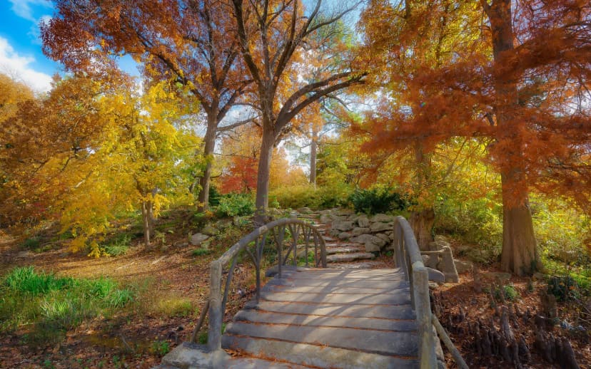 Fall color across Woodward Park in Tulsa