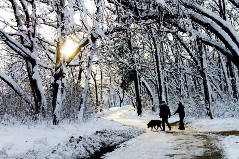 Winter sunset at Vilas Park