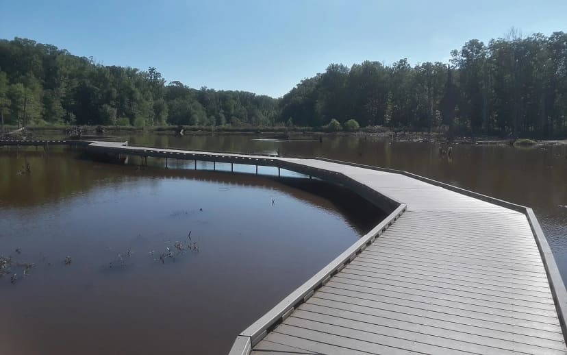 Heron Trail Wetland Boardwalk at Huntley Meadows Park