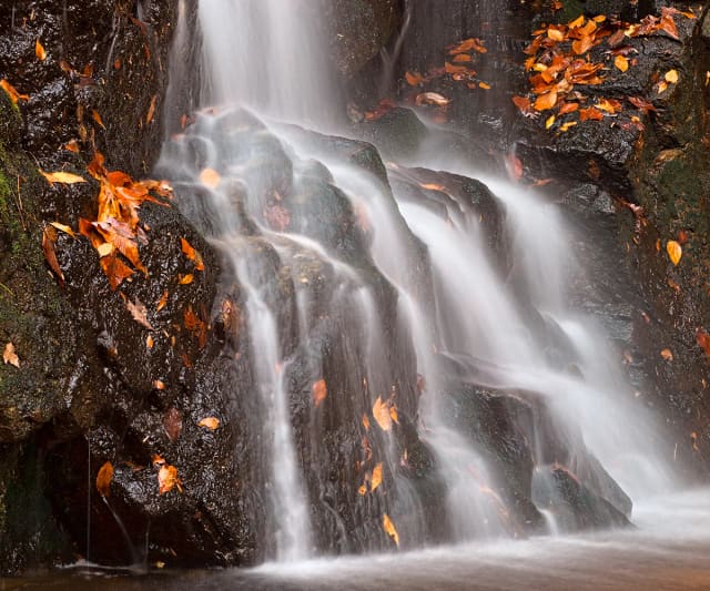 Cascade Falls at Patapsco Valley State Park