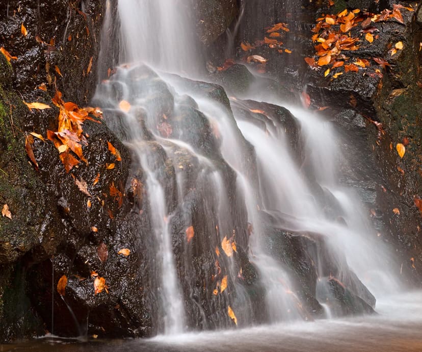 Patapsco Valley State Park in Ellicott City, MD