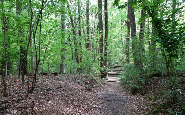 Western Ridge Trail at Rock Creek Park