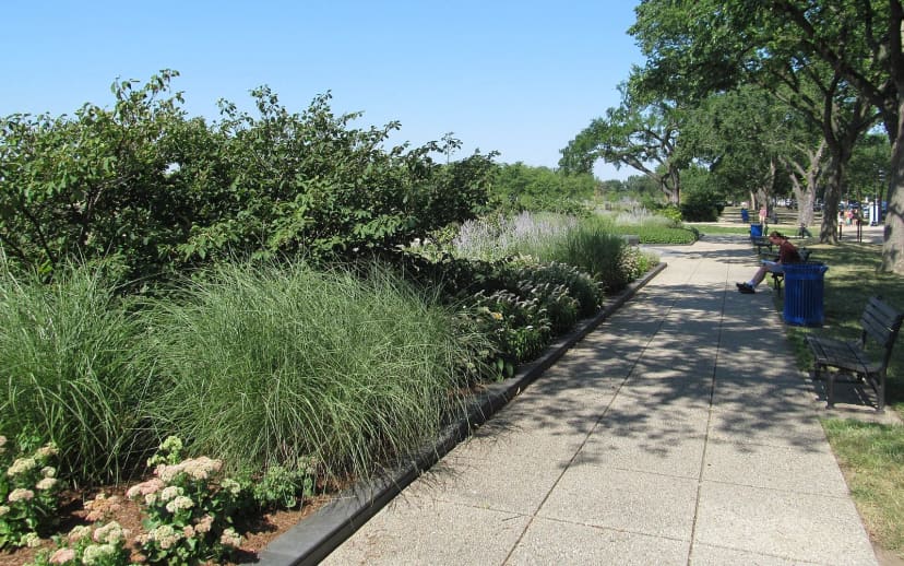 Friendship Garden at U.S. National Arboretum