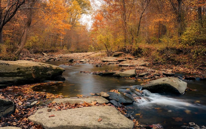 Meadowside Nature Center Trails at Rock Creek Regional Park