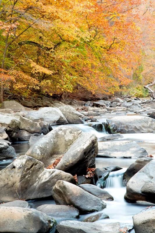 Dumbarton Oaks Park at Rock Creek Park