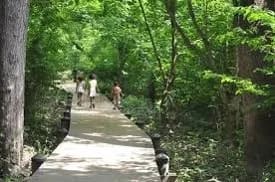 Theodore Roosevelt Island Tidal Marsh at Theodore Roosevelt Island
