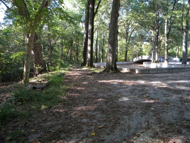 Theodore Roosevelt Island Footbridge at Theodore Roosevelt Island