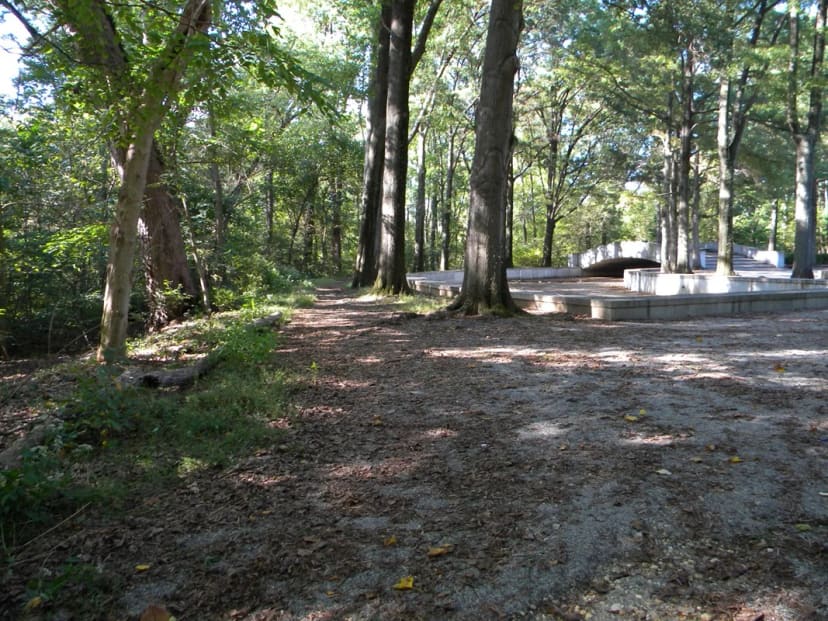 Upland Trail at Theodore Roosevelt Island