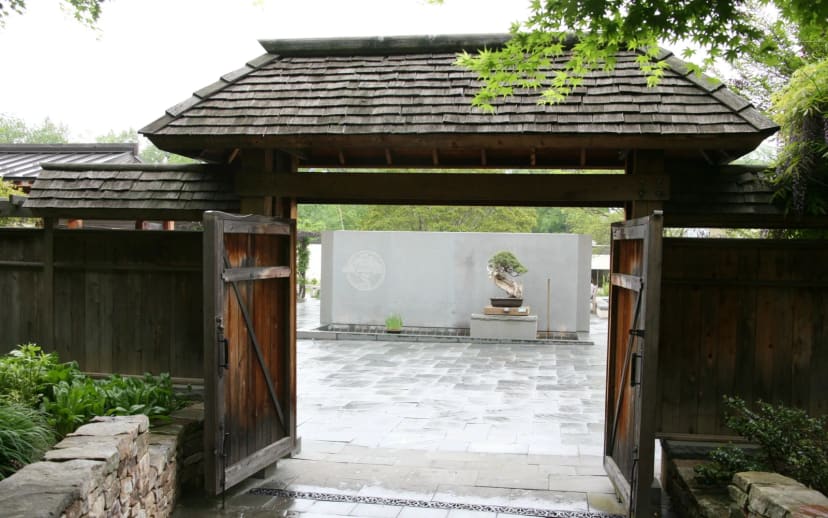 National Bonsai & Penjing Museum at U.S. National Arboretum