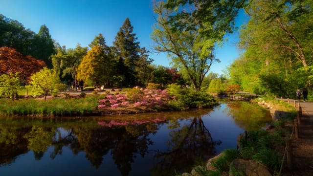 Brookside Gardens at Wheaton Regional Park