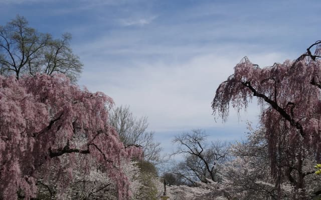 Josephine Fountain at Brandywine Park