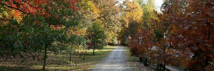 Bicentennial Greenway through autumn woods