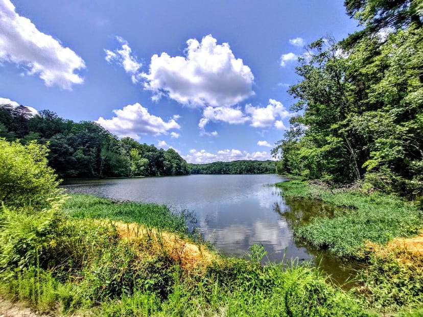 Salem Lake view from the eastern end of Salem Creek Greenway