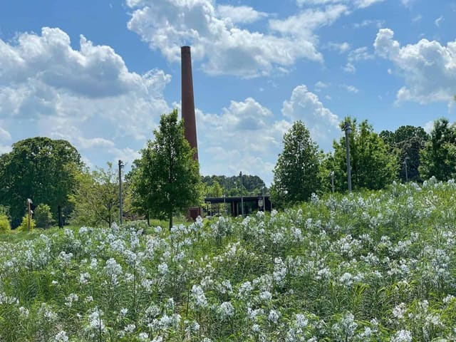 Museum Park Welcome Center surrounded by wildflowers near the historic smokestack