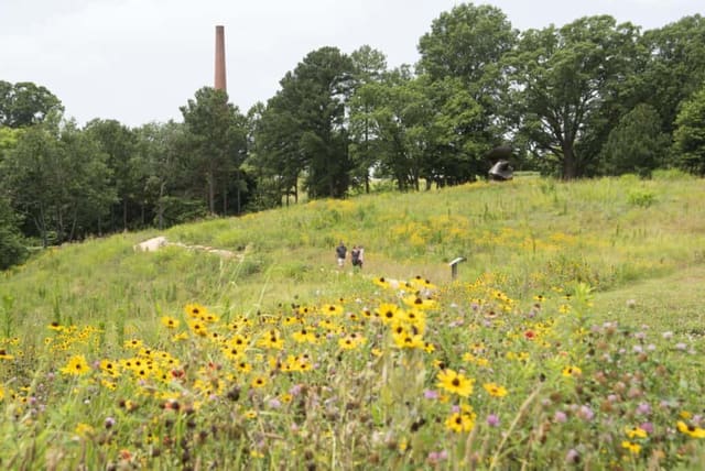 A gravel trail crossing a wildflower meadow in the Museum Park