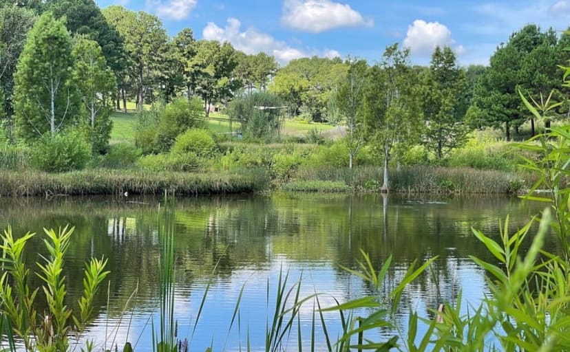 Museum Park pond surrounded by native grasses, shrubs, and trees
