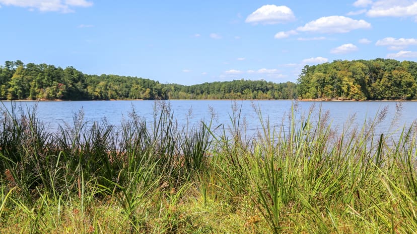 Forest Ridge Park beside Falls Lake