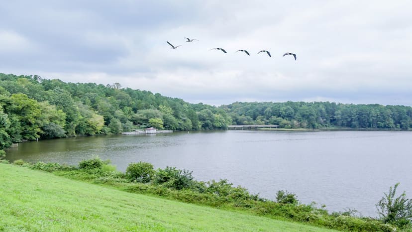 Shelley Lake and the paved loop trail
