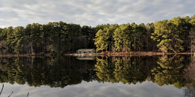 Lake surrounded by forest at Durant Nature Preserve