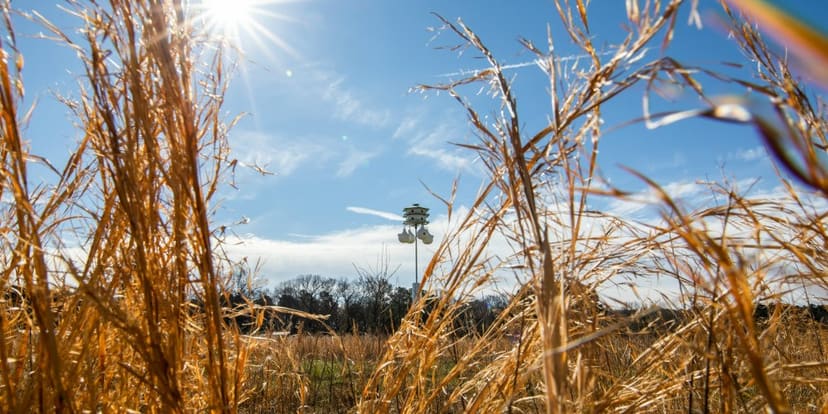 Open meadow and forest at Horseshoe Farm Nature Preserve
