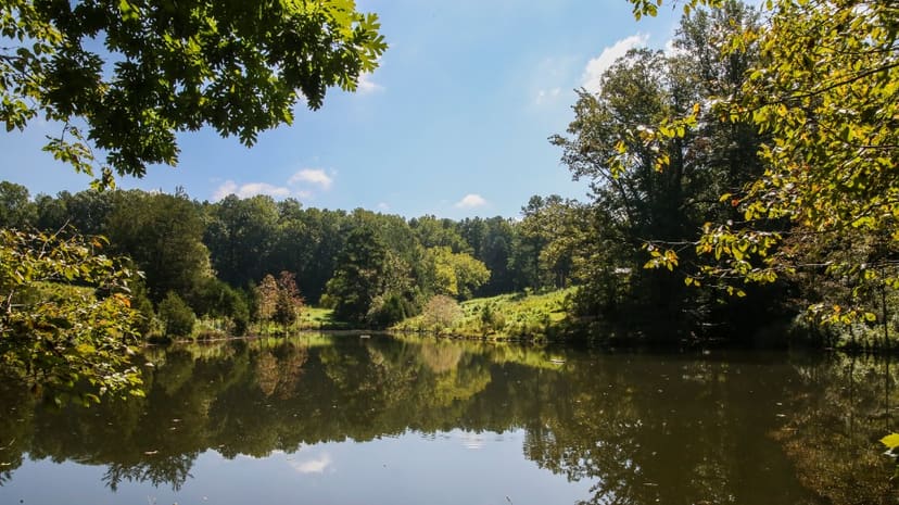 Pond and forest at Annie Louise Wilkerson Nature Preserve
