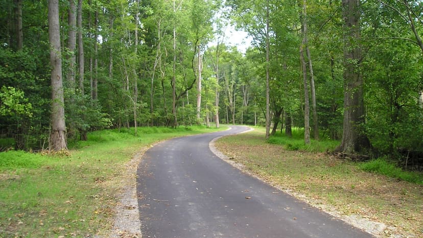 Paved Crabtree Creek Greenway Trail through trees
