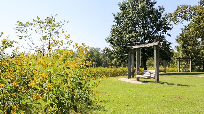 Anderson Point Park landscape