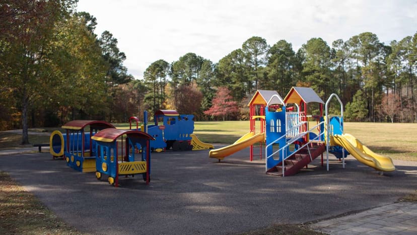 Rubber-surface playground at Brier Creek Park